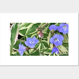 Variegated leaves with Light Blue Flowers Shape - Floral Photograph - Early Summer Flowers Posters and Art